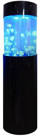 آکواریوم عروس دریایی