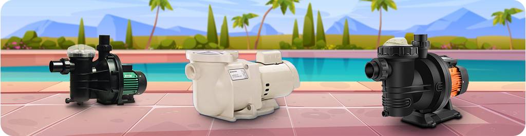 pool pump types