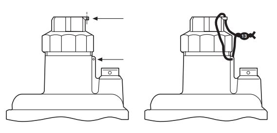 بالانسر دانگز