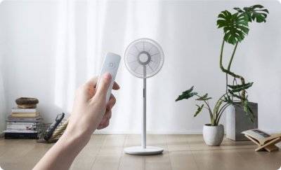 Standing Fan