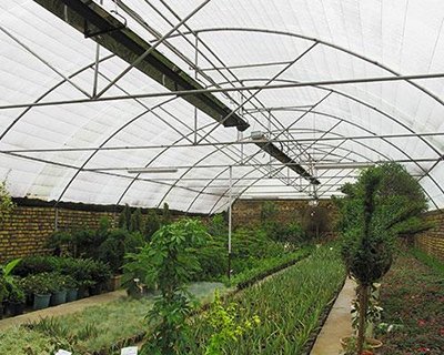 کاربرد تابشی گرماتاب مدل 50 UT