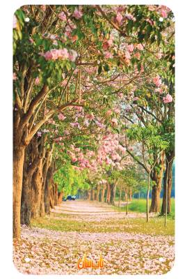 رادیاتور برقی شیشه ای تاپ سان مدل D-907 سایز 90×150