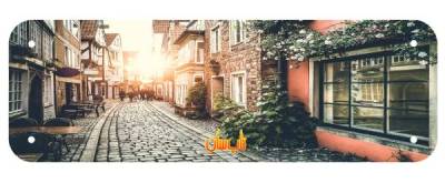 رادیاتور برقی شیشه ای تاپ سان مدل D-904 سایز 50×150