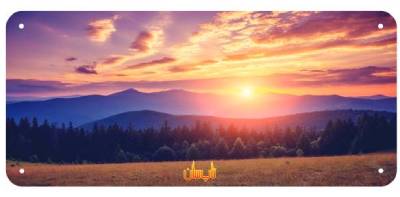 رادیاتور برقی شیشه ای تاپ سان مدل D-908 سایز 90×200