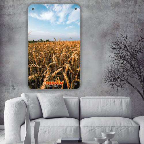 رادیاتور برقی تاپ سان