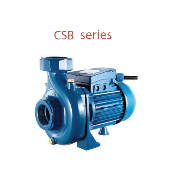 پمپ آب رسانی پنتاکس صنعتی و کشاورزی-4