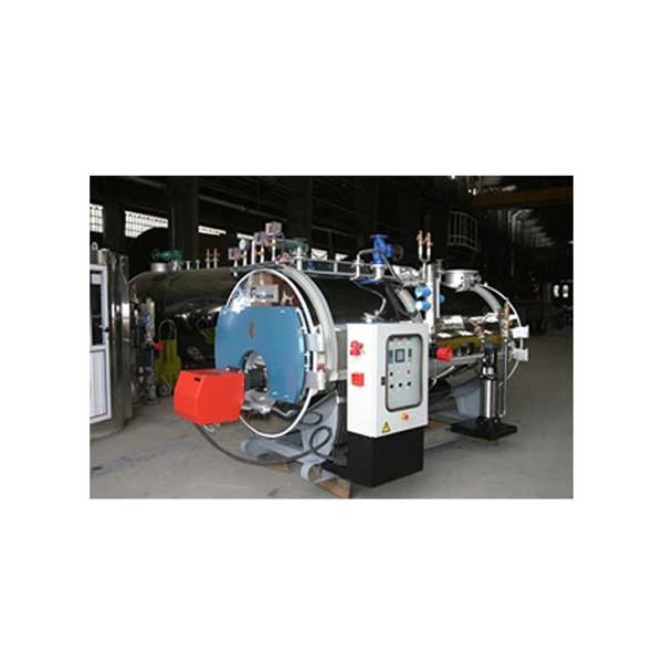 دیگ بخار پاکمن سری PSBH-4