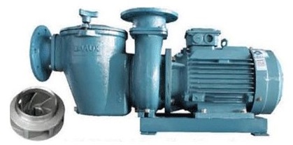 جت پمپ جکوزی ایمکس مدل SE-5.5