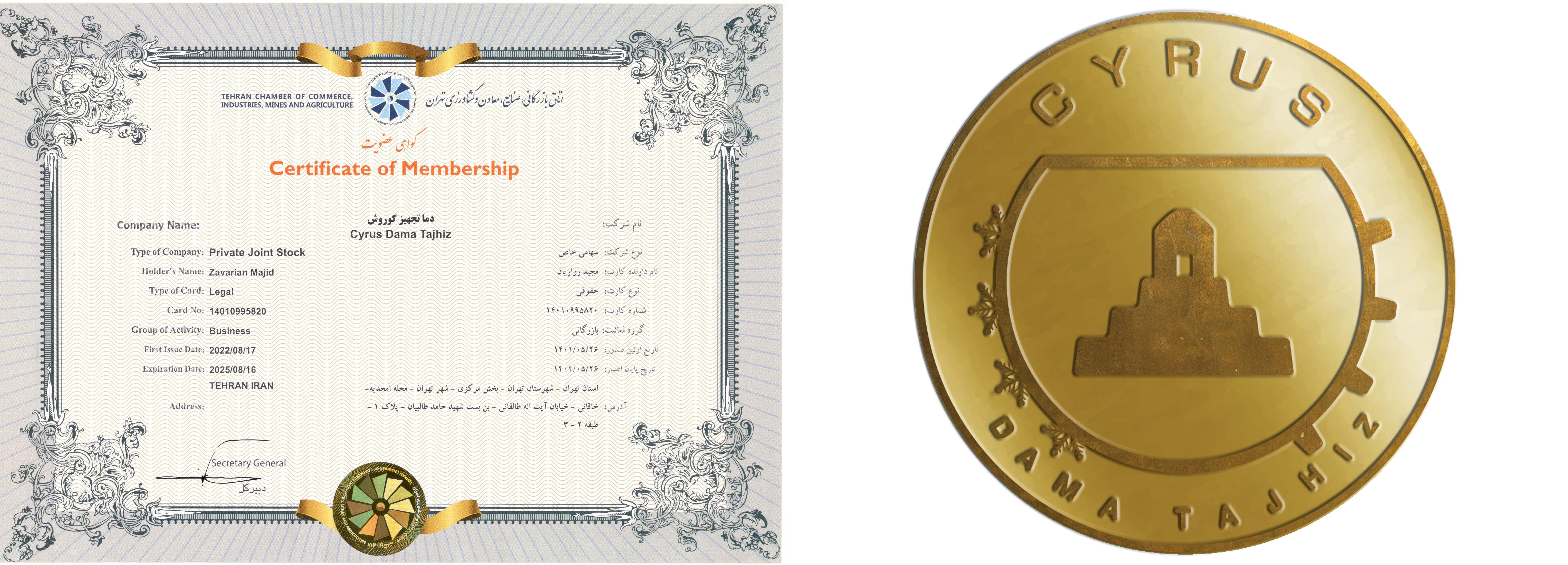 DamaTajhiz Business card and logo